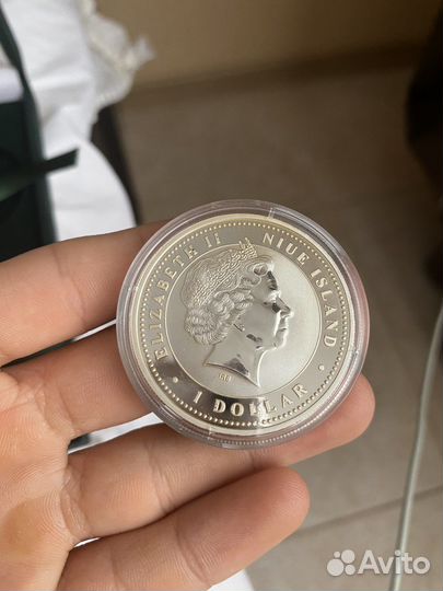 Year of the pig island 2007