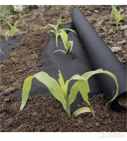 Новый Укрывной материал Спанбонд 1,6 м