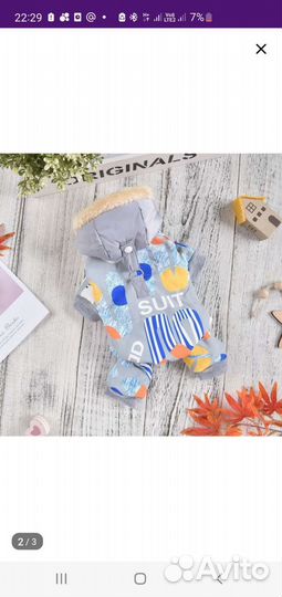 Одежда для маленьких собак