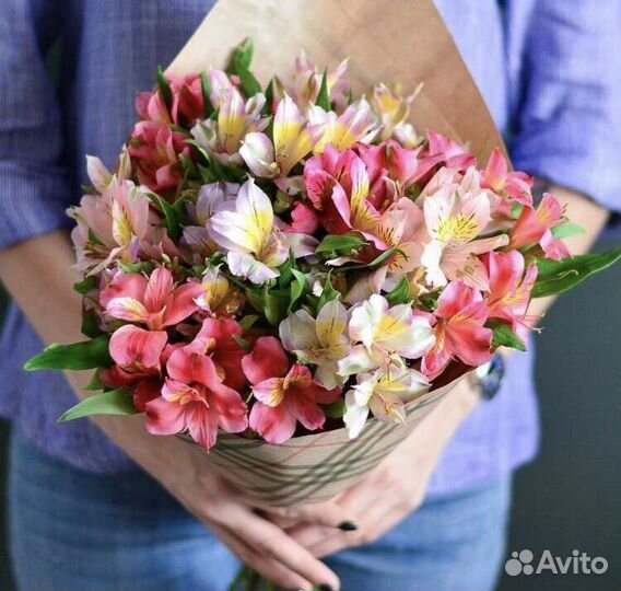 Альстромерия с доставкой