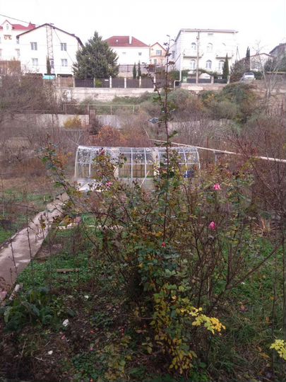 Участок 4,8 сот. (СНТ, ДНП)