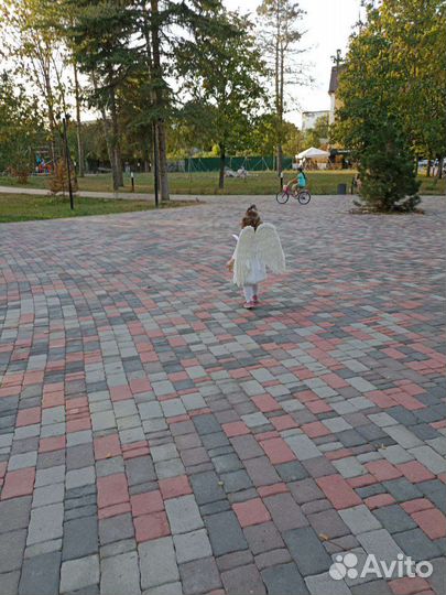 Крылья ангела