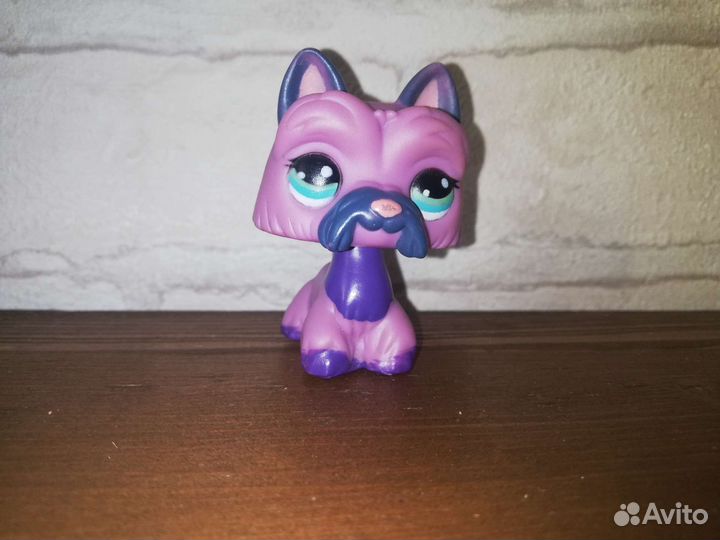 Littlest Pet Shop