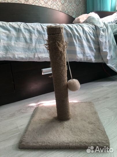 Когтеточка