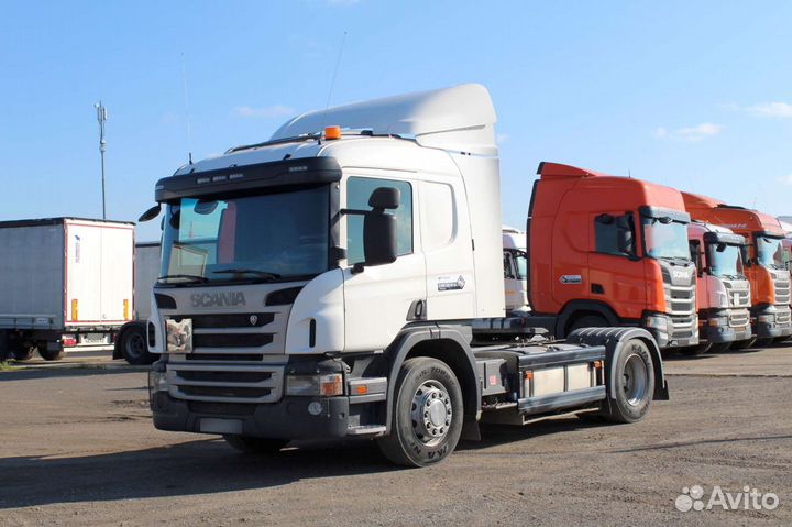 Scania P360, 2017