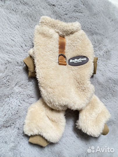 Одежда для собак