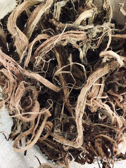 Красный корень