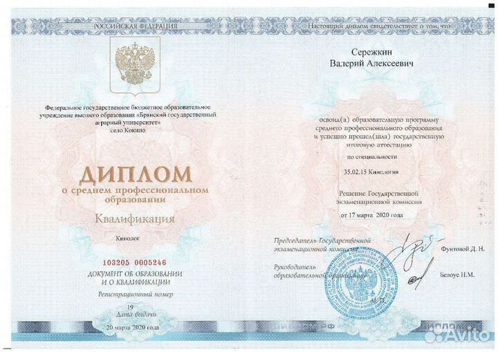 Дрессировка и воспитание собак Кинолог