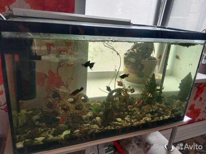 Аквариум