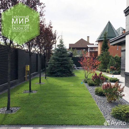 Рулонный газон