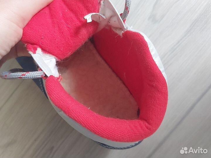 Лыжные ботинки spine