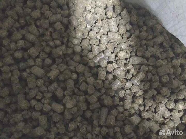 Дробина пивная