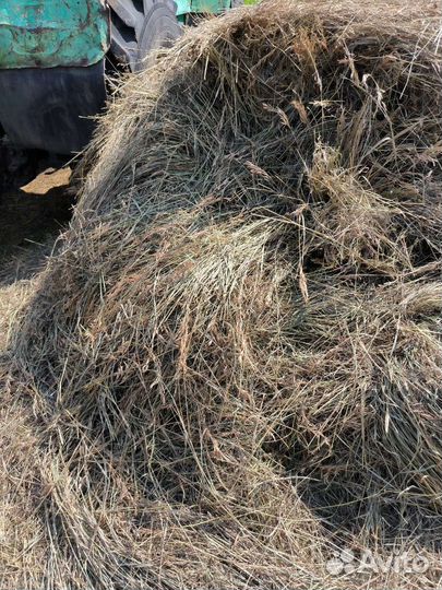 Сено с доставкой