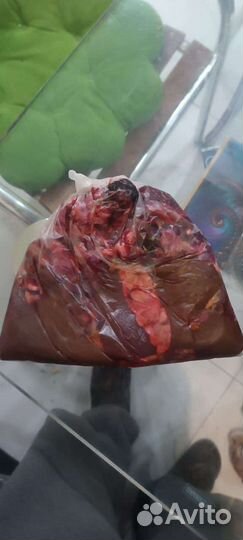 Мясо для собак говядина