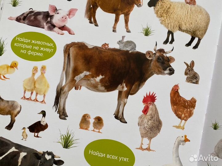 Большая книга малыша животные