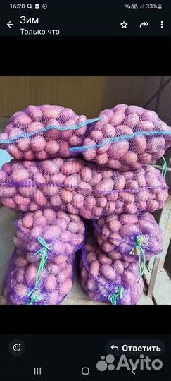 Продам картофель оптом