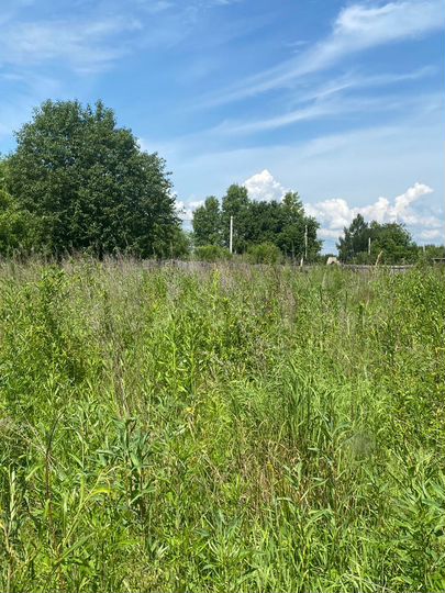 Участок 12 сот. (СНТ, ДНП)