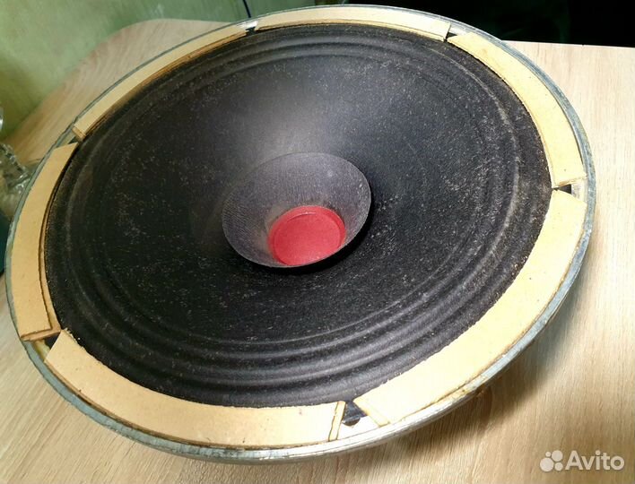 Динамик 40гд-301 / Мощный / Концертный