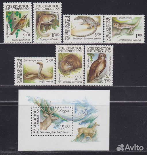 Узбекистан 1993 -фауна