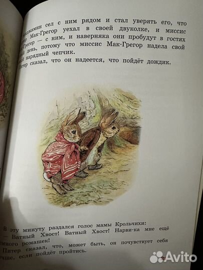 Кролик питер книга