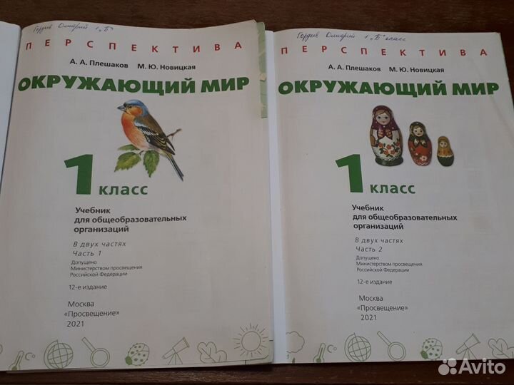 Окружающий мир Перспектива 1 класс