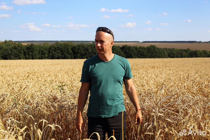 Мастер на час