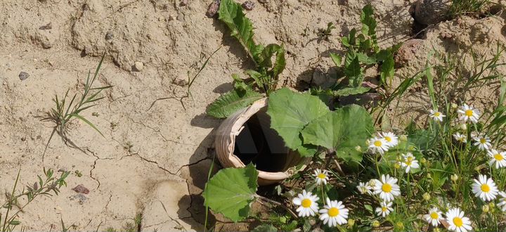 Участок 19 сот. (ИЖС)