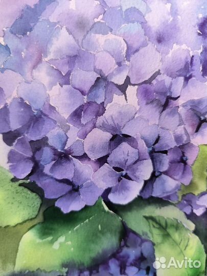 Картина акварель цветы