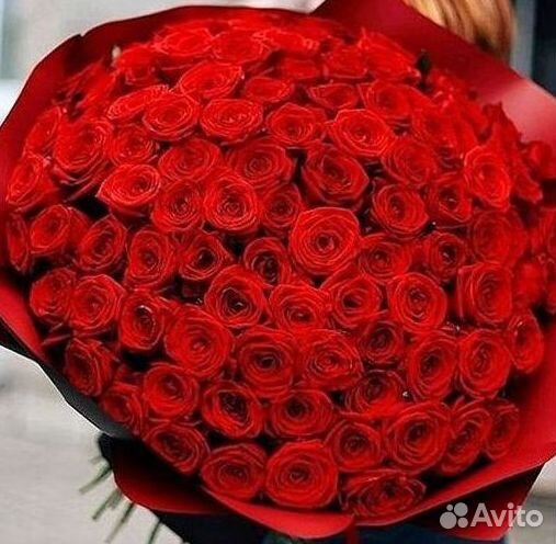 Розы гиганты 140 150 160 170 180 200