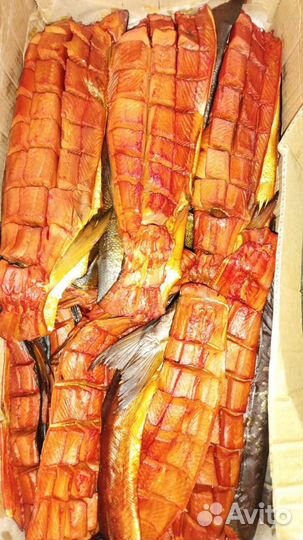 Астраханская рыба