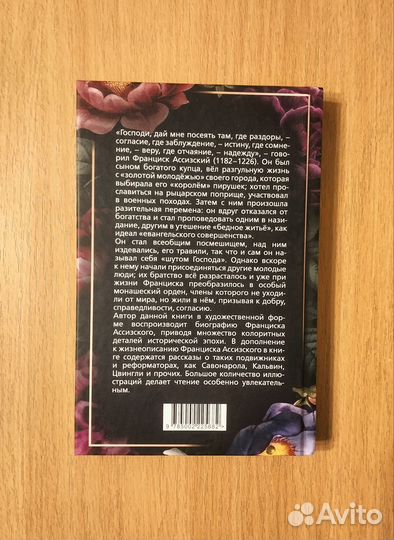 Брезгам Галинакс. Шуты Господа. История Франциска