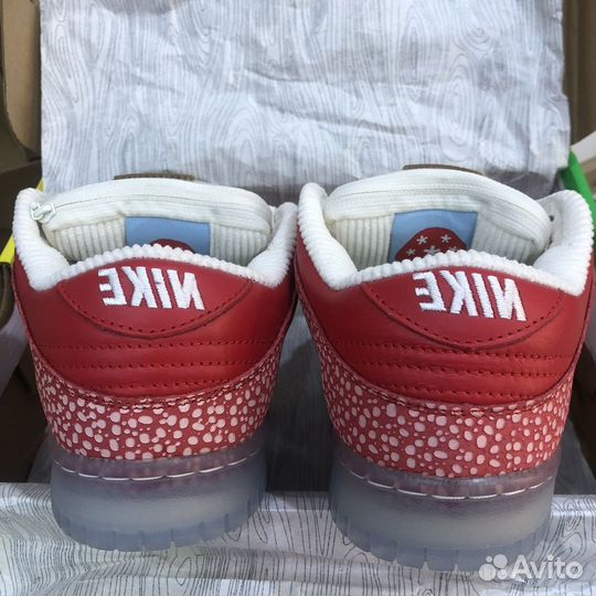 Nike X stingwater SB dunk LOW magic mushroom