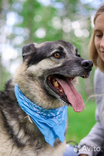 Марат энергия и преданность