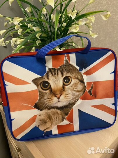 Папка сумка