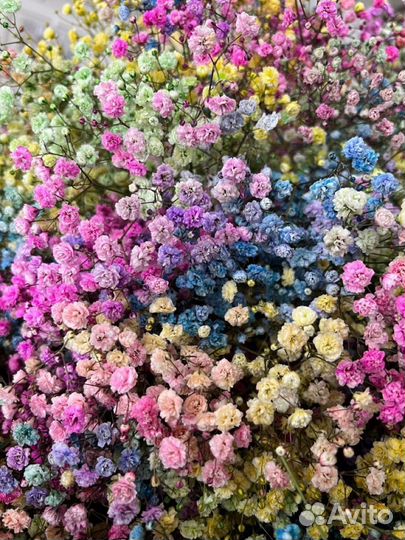 Букет из гипсофилы