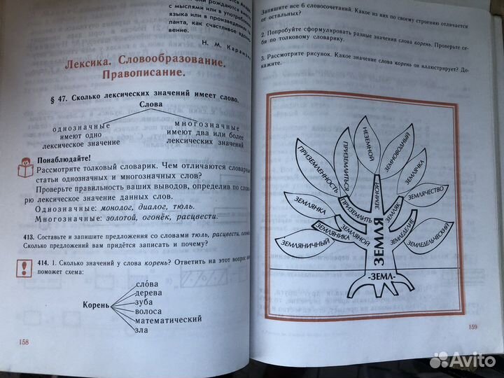 Русский язык 5 класс разумовский