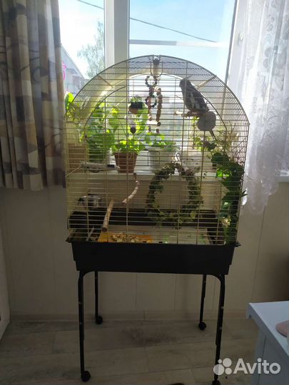 Большая клетка для птиц