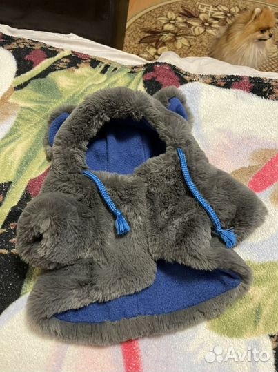 Одежда для маленьких собак