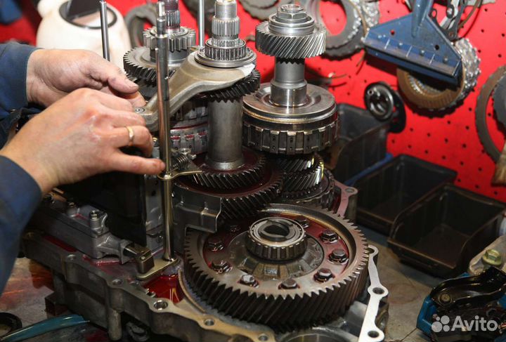 Адаптация программирование ремонт BTR DSI M78 M11