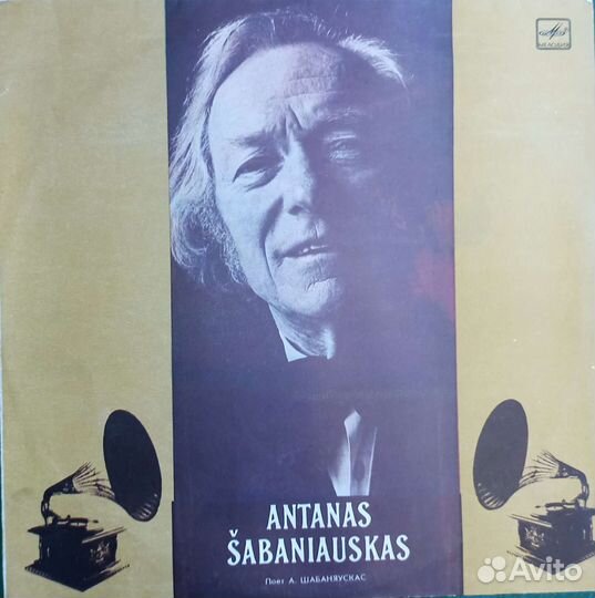 Виниловая пластинка