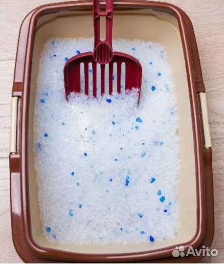 Туалет для лотка кошкам 10 кг авито доставка