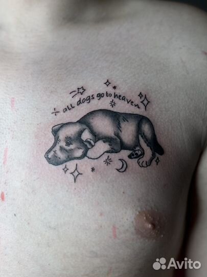 Начинающий тату мастер ищет моделей