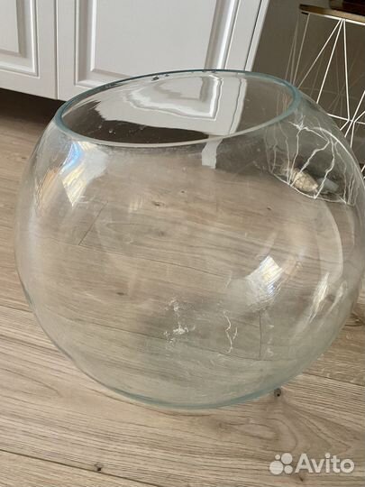 Аквариум СССР