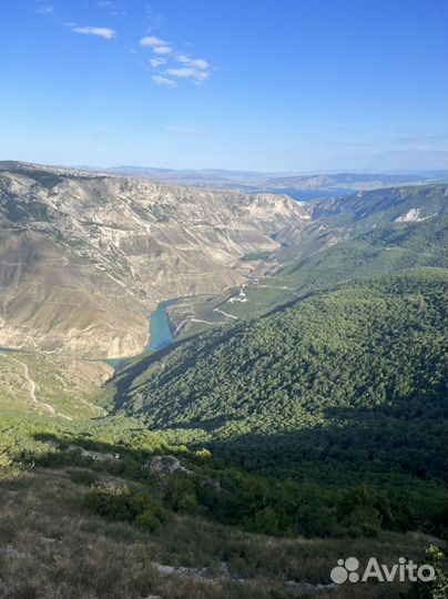 Лес, Отвод и таксация лесосек, Проекты мелиорации