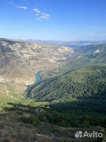 Лес, Отвод и таксация лесосек, Проекты мелиорации