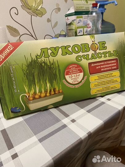 Луковое счастье