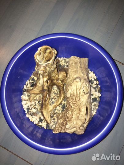 Аквариум с тумбой