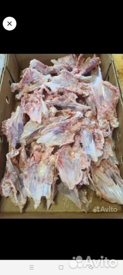 Куриные кости