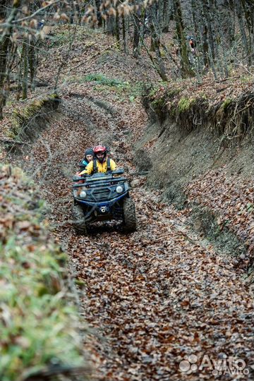 Квадроцикл Sharmax Force 620 Efi (P)