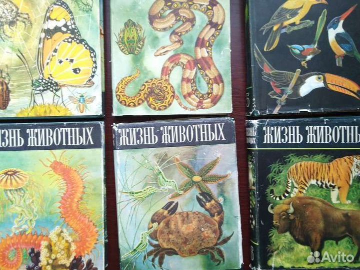Книги.Жизнь животных